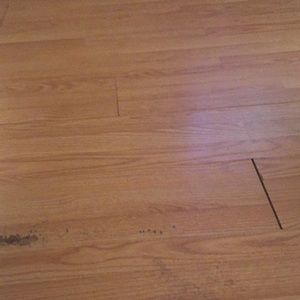 Meet your Posher, Leon